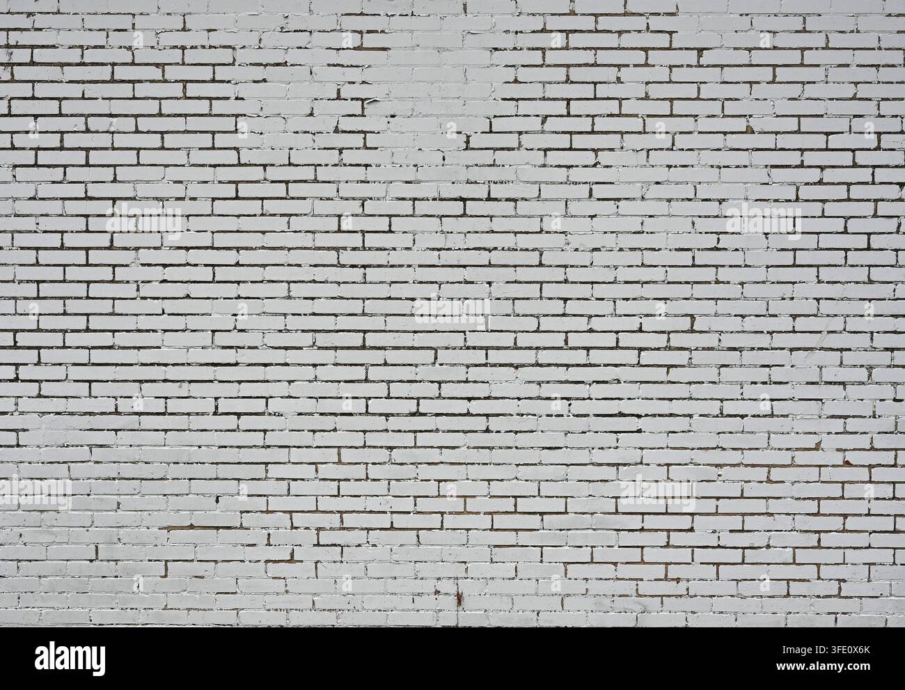 Weiß gestrichene Ziegel- und Mörtelwand mit flachen, glatten Ziegelflächen, die Risse und Absplitterungen aufweisen, sowie abblätternde Farbe um sich verschlechternde Fugen Stockfoto