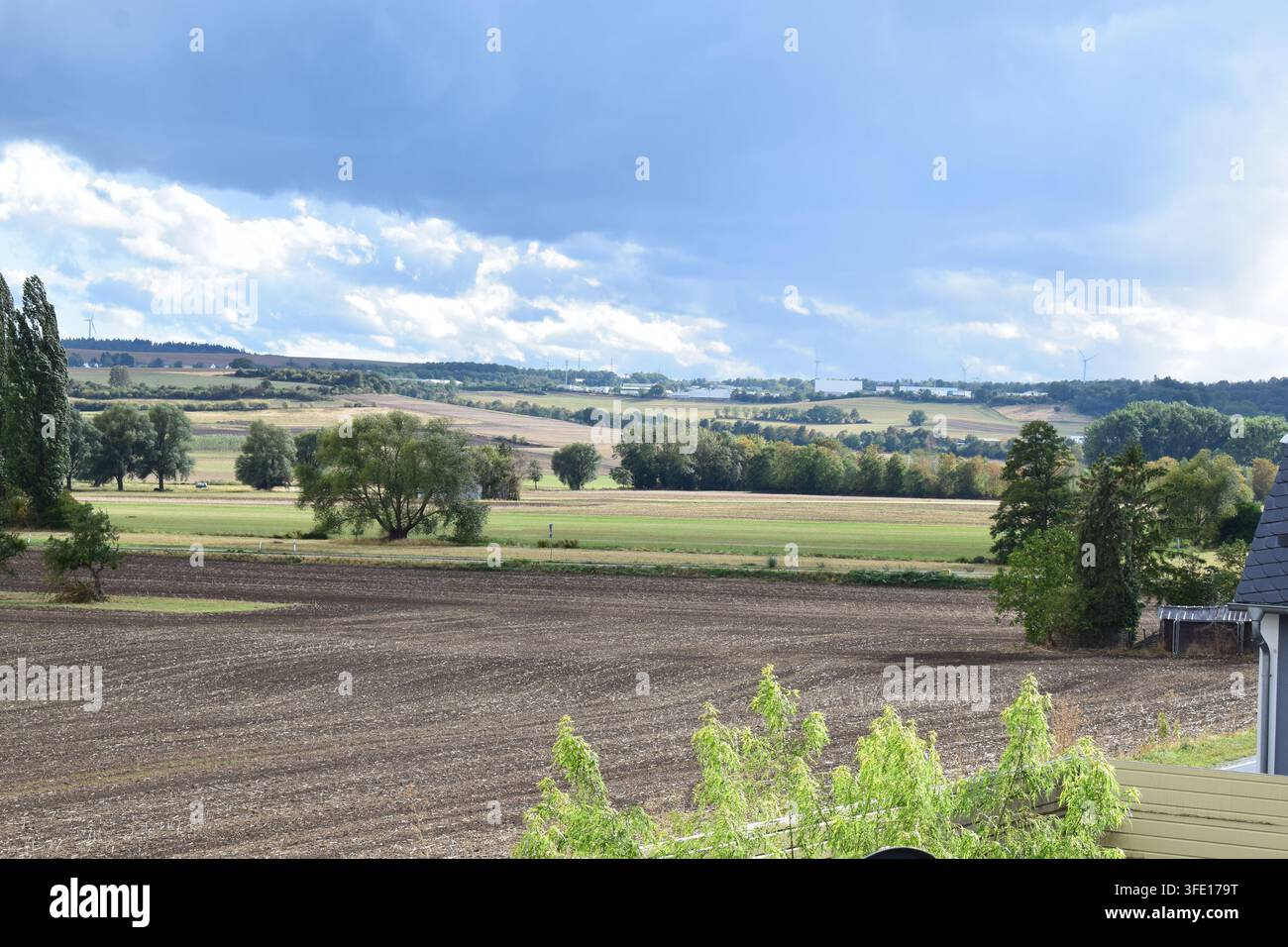 Stimmung nach dem Regen in der Eifel Stockfoto