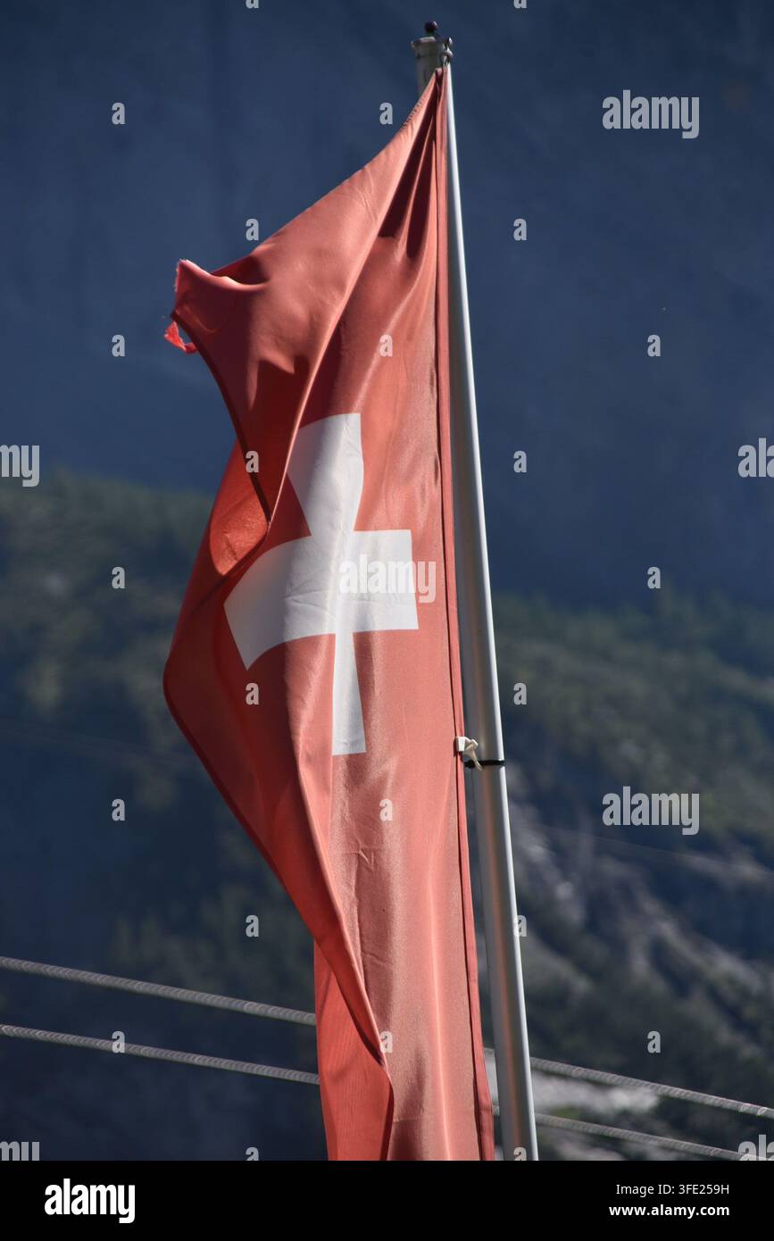 Schweizer Flagge Stockfoto