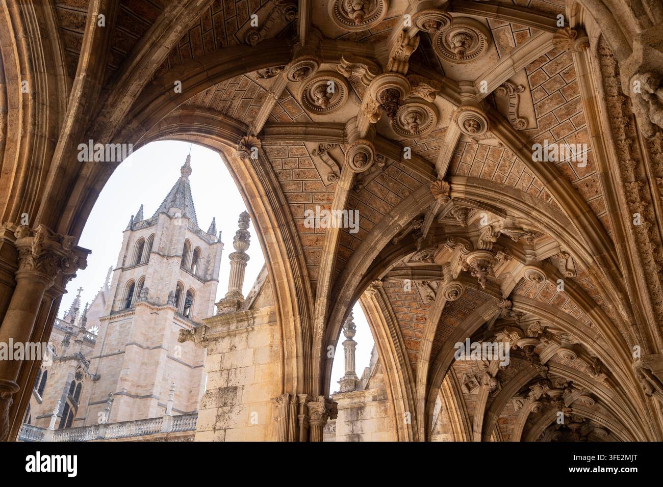 Verzierte gotische Klosterbögen und Gewölbedecke in der Kathedrale von León, Spanien, mit detaillierten Steinschnitzereien, Rippengewölben, Säulen und einem fernen Glockenturm Stockfoto