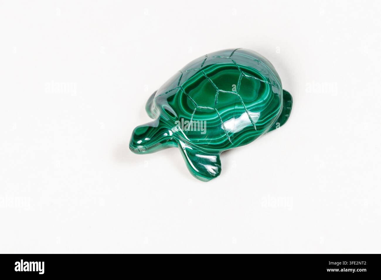 Makro-Mineralstein-Schildkröte aus Malachit im Nahaufnahme Stockfoto