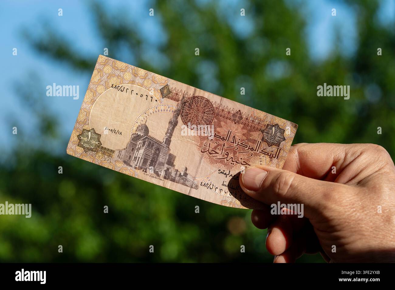 Person, die eine ägyptische Pfund-Banknote vor einem natürlichen grünen Hintergrund hält. Nahaufnahme einer Hand, die einen 1 ägyptischen Pfund-Geldschein hält, der die Qaitbay-Moschee zeigt Stockfoto