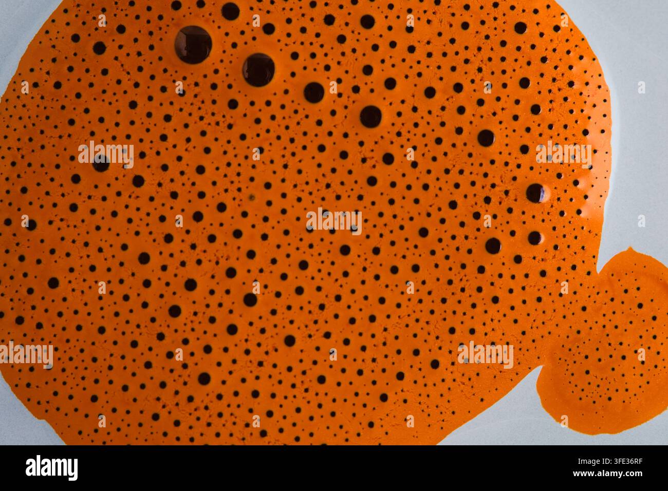 Abstrakte lebendige orangefarbene Flüssigkeitstextur mit schwarzen gepunkteten Flecken und Blasenmuster-Hintergrund-Makro Stockfoto