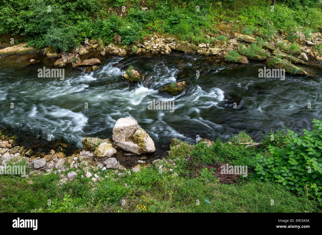 Schnell fließender Fluss über Felsen in grüner Natur Stockfoto