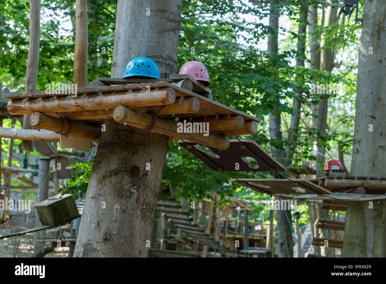 Nahaufnahme von blauen, rosa und roten Schutzhelmen, die auf erhöhten Holzplattformen in einem Waldkletterpark platziert sind. Stockfoto