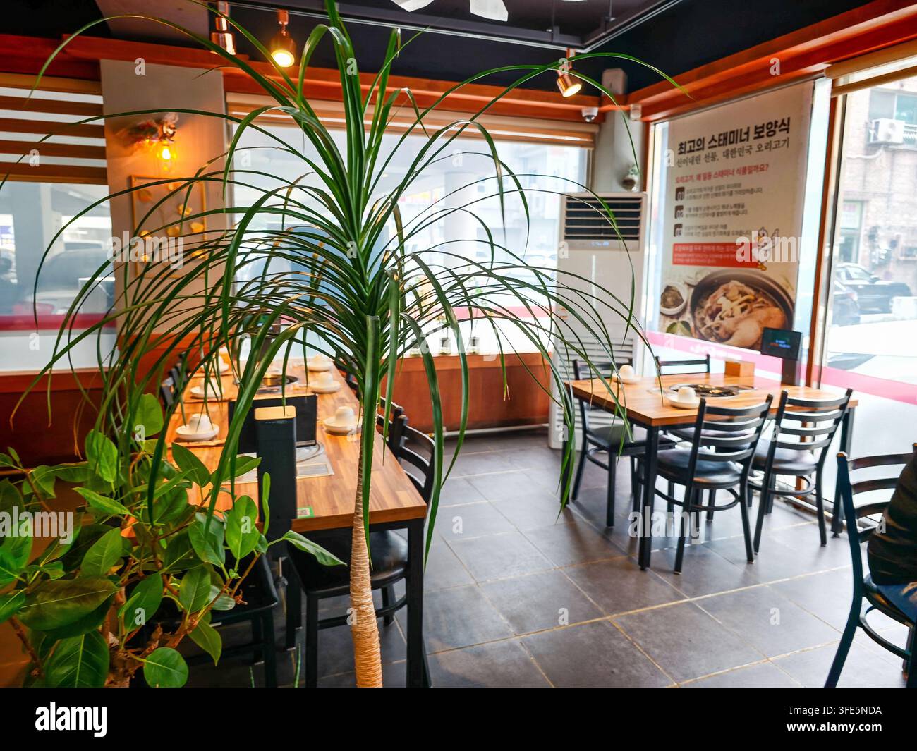 Helles Interieur eines koreanischen Restaurants mit Holztischen, grünen Pflanzen und großen Fenstern in Korea. Stockfoto