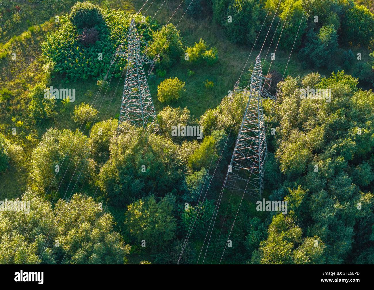 Luftbild von zwei Strommasten, die mitten in dichten grünen Bäumen und üppigem Waldlaub in Gdynia, Woiwodschaft Pommern, Polen stehen. Stockfoto