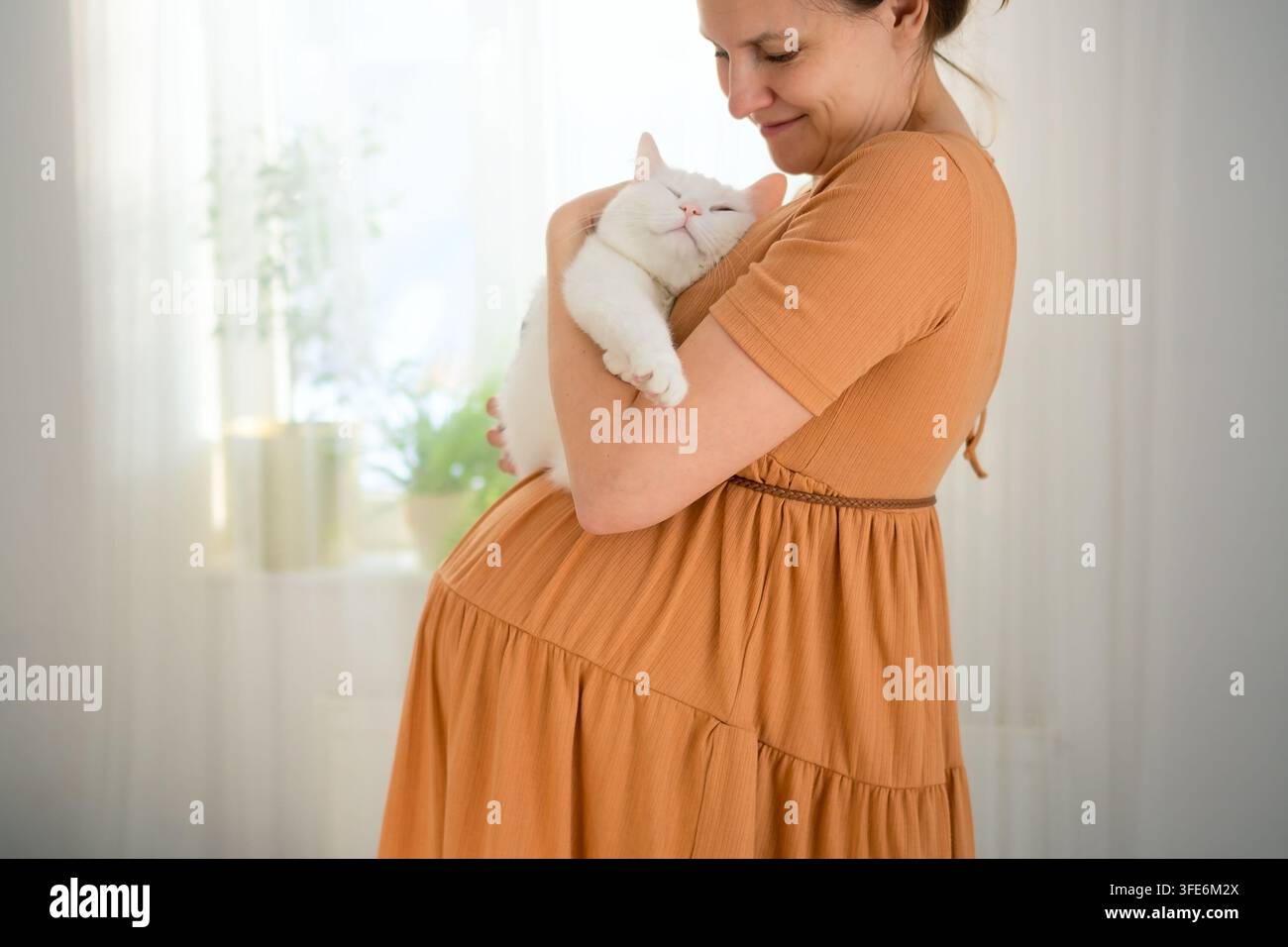 Eine schwangere Frau hält ihre geliebte weiße Katze in den Armen. Die werdende Mutter, die ihr Haustier umarmt, zeigt einen warmen, zärtlichen Moment der liebevollen Bindung und friedlichen Glückseligkeit zu Hause. Stockfoto