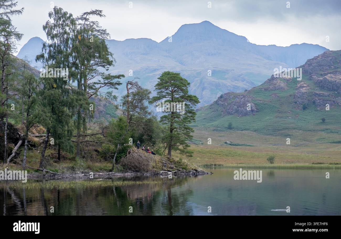Blea Tarn, ein kleiner Wasserkörper im Lake District, Cumbria, England in sanftem Sommerlicht mit den Langdales im Hintergrund. Stockfoto