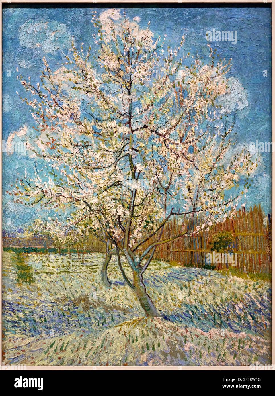 Der rosafarbene Pfirsichbaum, 1888, Vincent van Gogh (Zundert 1853 – Auvers-sur-Oise 1890), Van-Gogh-Museum, Amsterdam, Niederlande Stockfoto