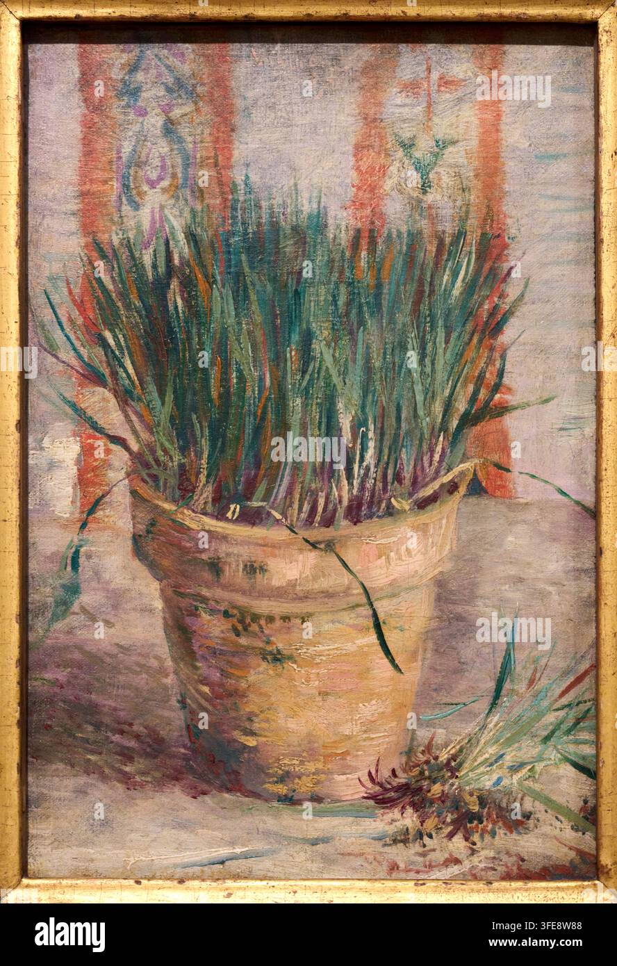 Blumentopf mit Knoblauchschote, 1887, Vincent van Gogh (Zundert 1853 – Auvers-sur-Oise 1890), Van-Gogh-Museum, Amsterdam, Niederlande Stockfoto