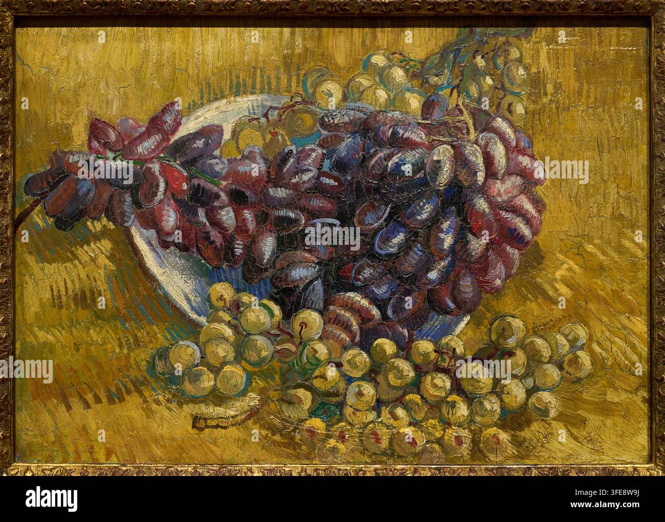 Trauben, 1887, Vincent van Gogh (Zundert 1853 - Auvers-sur-Oise 1890), Van Gogh Museum, Amsterdam, Niederlande Stockfoto