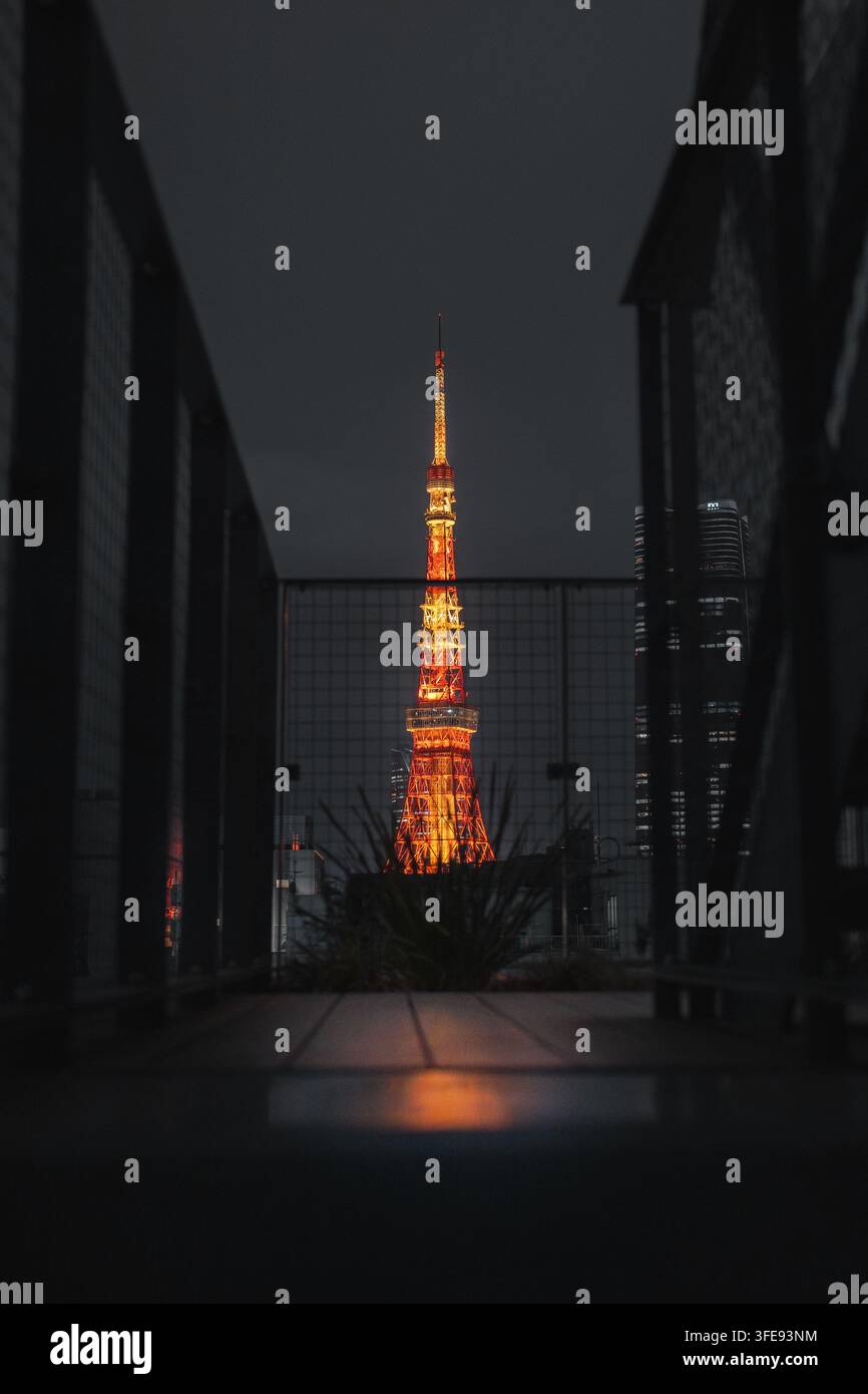 Tokyo Tower leuchtet in warmem orangefarbenem Licht vor einem dunklen Nachthimmel, eingerahmt von umliegenden Gebäuden und einem Dachgartenweg im Vordergrund. Stockfoto