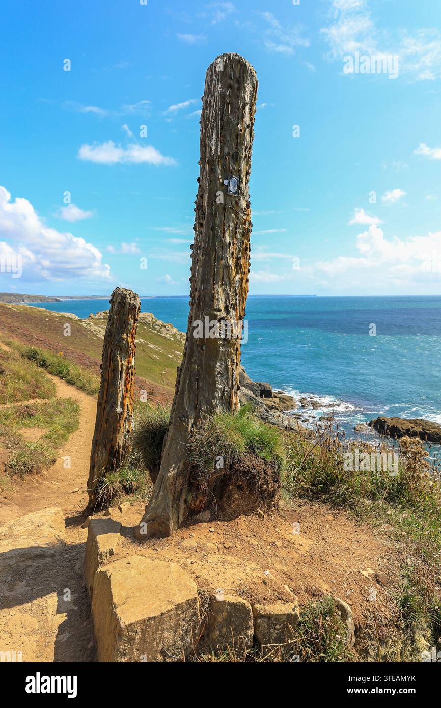 Ein ‚Geldbaum‘, an dem Besucher Münzen in den Baum hämmern, in Cudden Point, Cornwall, England, UK Stockfoto