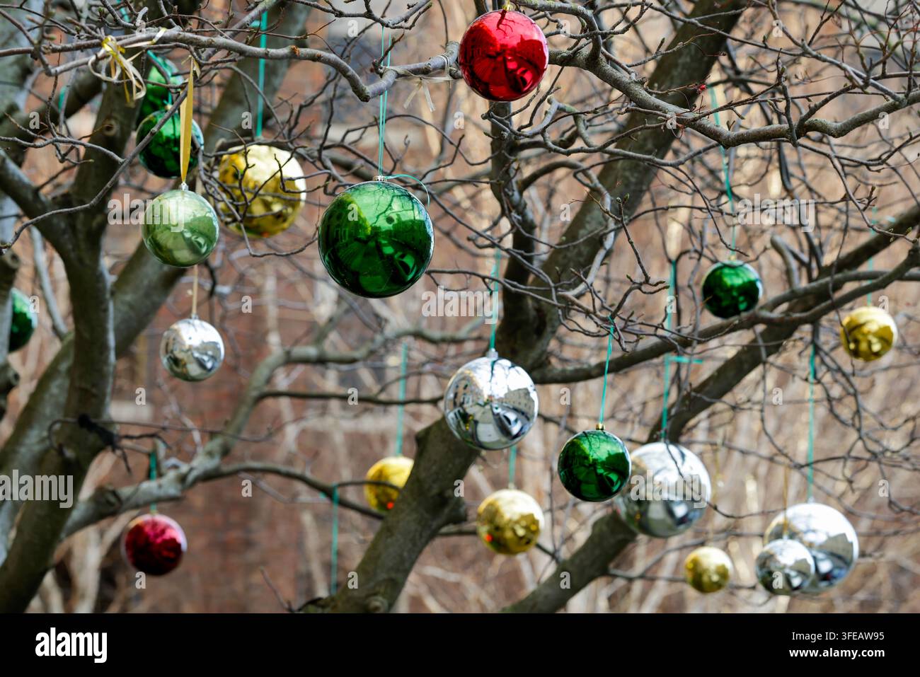 Bunte Kugeln, die an den Ästen von Bäumen entlang der Straße in der Stadt Dublin hängen. Außendekorationen oder Ornamente für die Weihnachtsfeiertage. Irland Stockfoto