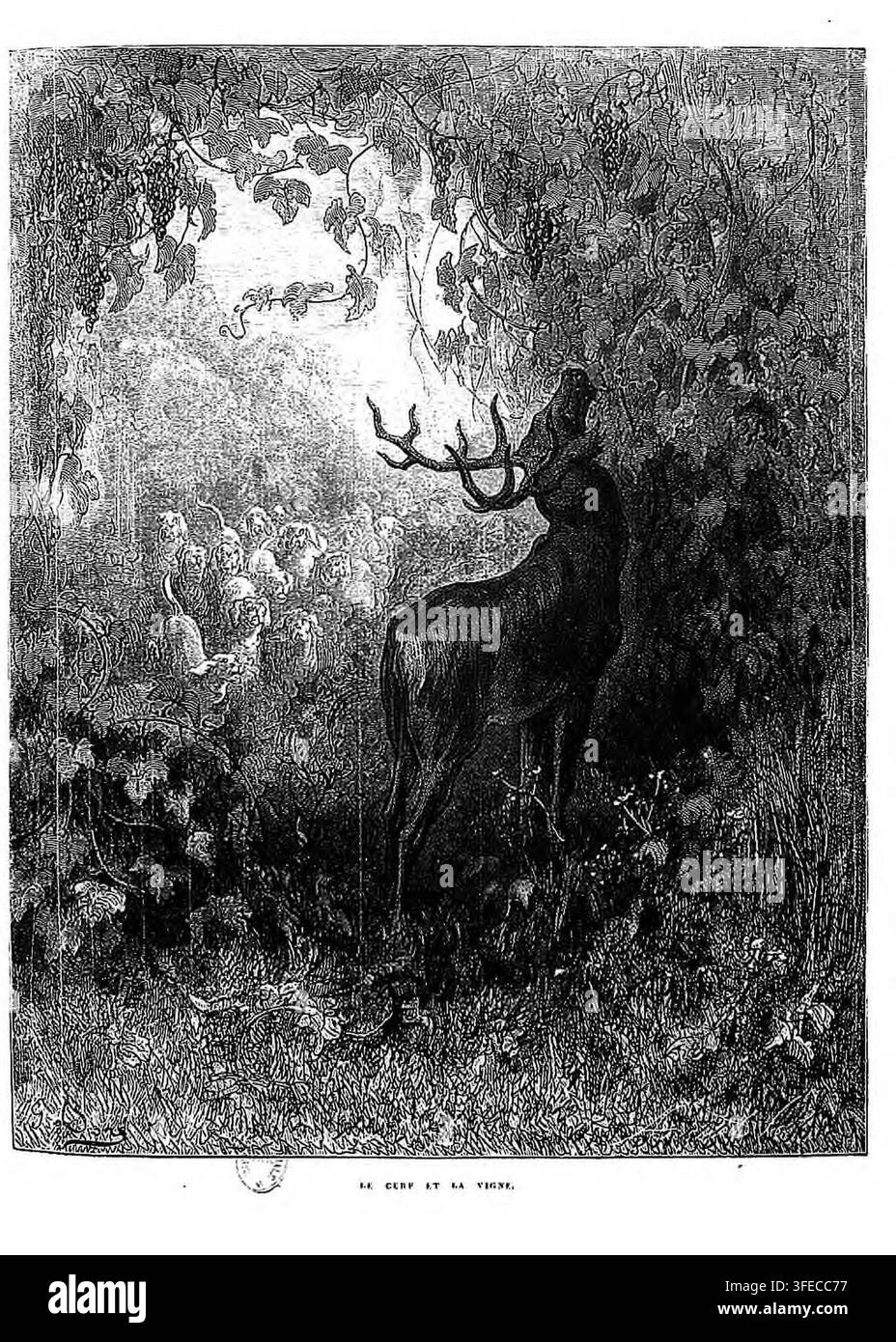 Ein Druck von Gustave Doré, einem französischen Illustrator, aus dem Jahr 1868, der eine Szene mit dem Titel "Le Cerf et la Vigne" zeigt, mit einem großen Hirsch mit Geweih, der in dichtem Laubwerk steht, und einer Gruppe kleiner Figuren im Hintergrund. Stockfoto