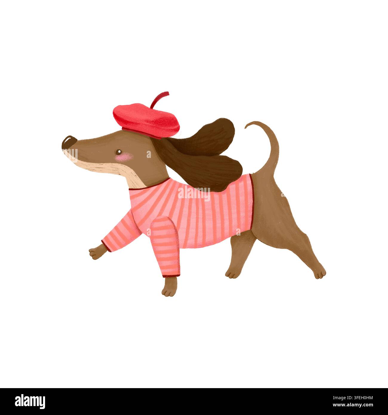Niedliche Aquarellillustration eines stilvollen Dackels, der ein rotes Barett und einen gestreiften rosa Pullover trägt, auf weißem Hintergrund. Ideal für Kinderbücher Stockfoto