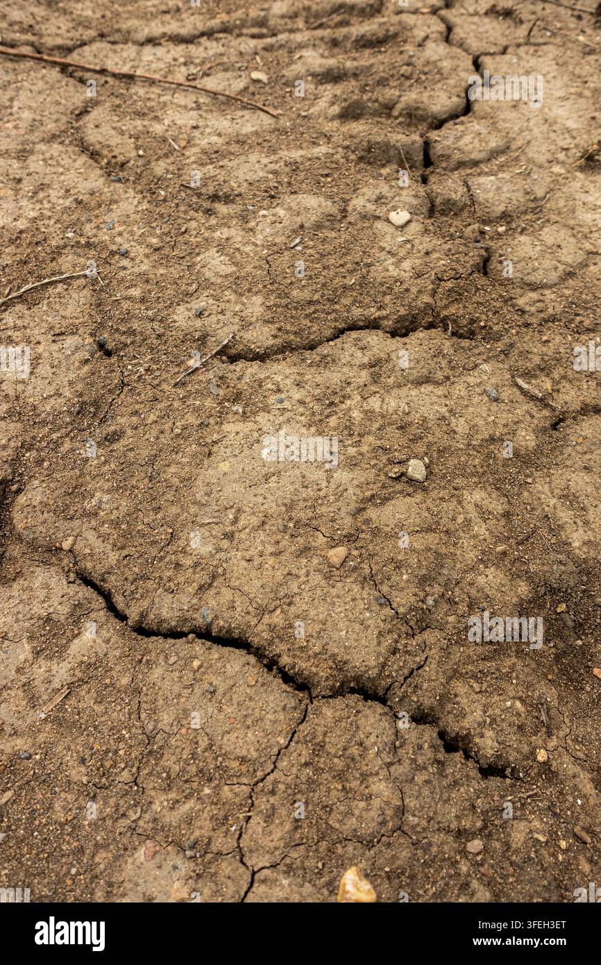 Nahaufnahme von trockener, rissiger Erde und verhärtetem Schlamm, die eine dürreähnliche Bodenstruktur, Risse und natürliche Erosionmuster zeigt Stockfoto