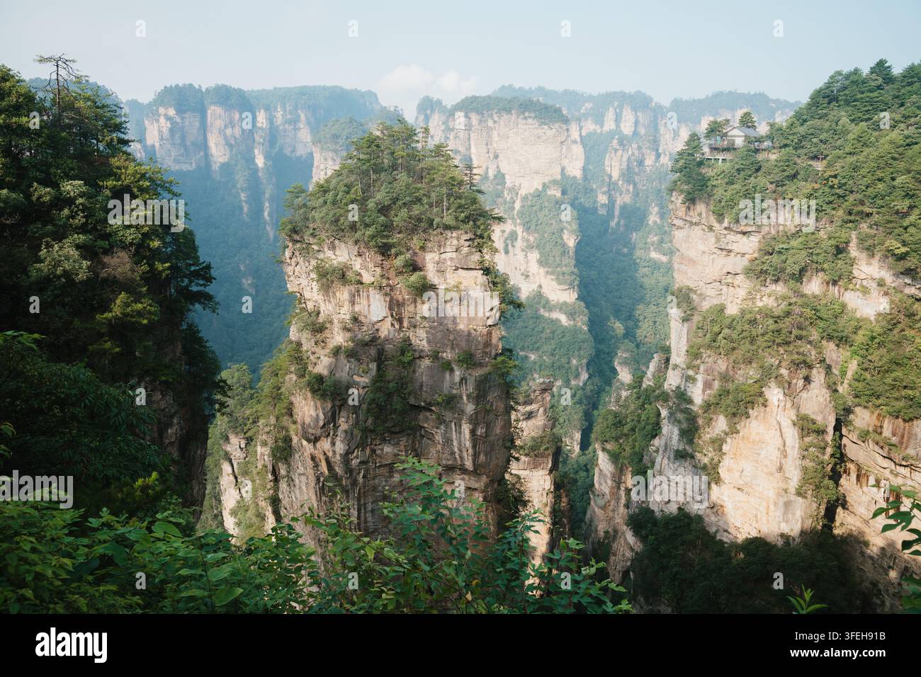 Pittoreske Sandsteinpfeiler im Zhangjiajie Nationalwaldpark in China ziehen Naturliebhaber und Fotografen an Stockfoto