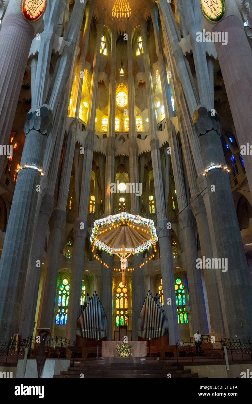 Barcelona, Spanien 01.09.2026 Religiöse Innenräume zeigen Kruzifix, Altar und Orgelpfeifen unter hohen Rippengewölben. Farbglas und warme Lampen erhellen Stockfoto