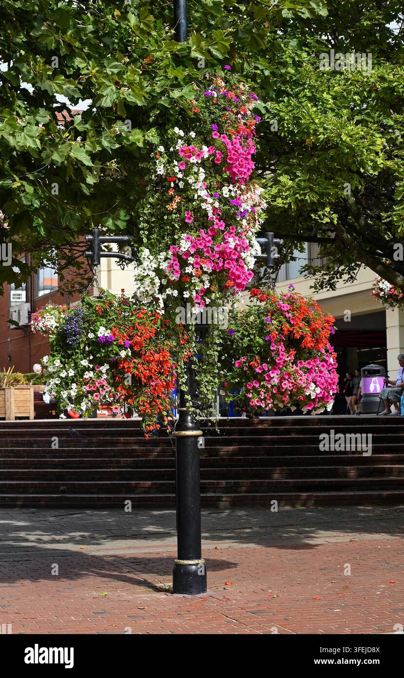Blumenpräsentationen in Hängekörben im Stadtzentrum von Worthing, West Sussex, England, UK Stockfoto
