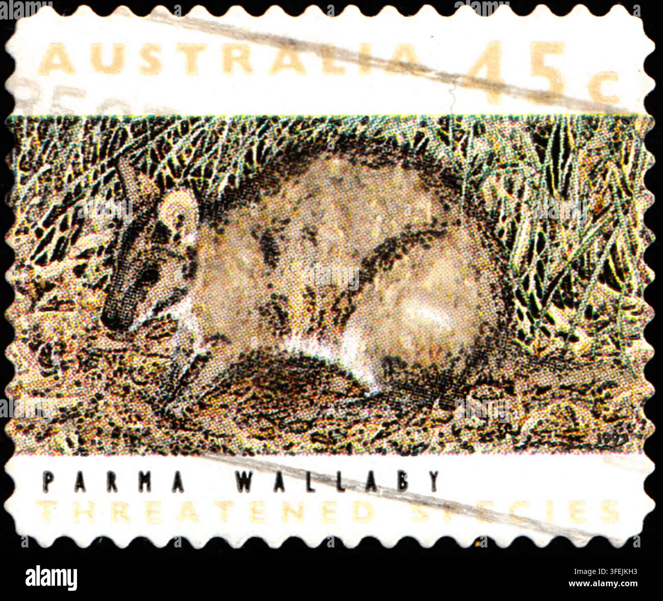 Australien: 1992 45c Briefmarke, die das vom Aussterben bedrohte Parma-Wallaby zeigt Stockfoto