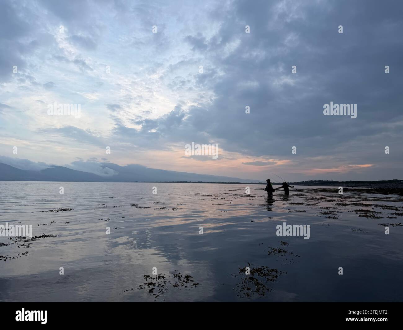 Angler fischen im Ästuar bei Cromane, kurz vor Sonnenaufgang, August 2026. Stockfoto