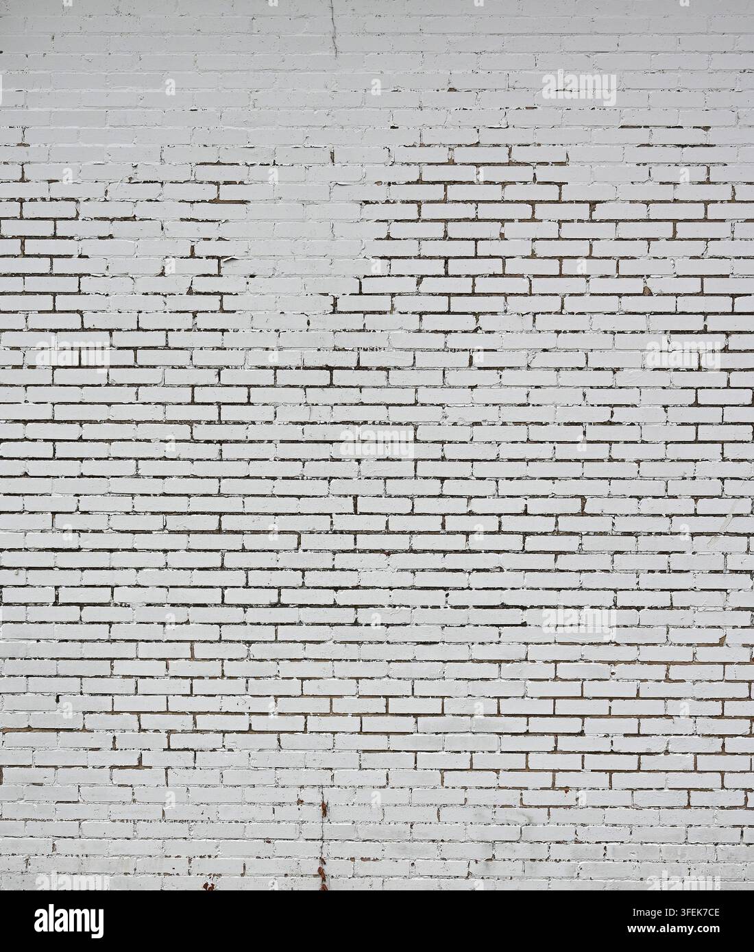 Weiß gestrichene Ziegel- und Mörtelwand mit flachen, glatten Ziegeloberflächen, die Risse und Brüche sowie abblätternde Farbe aufweisen Stockfoto