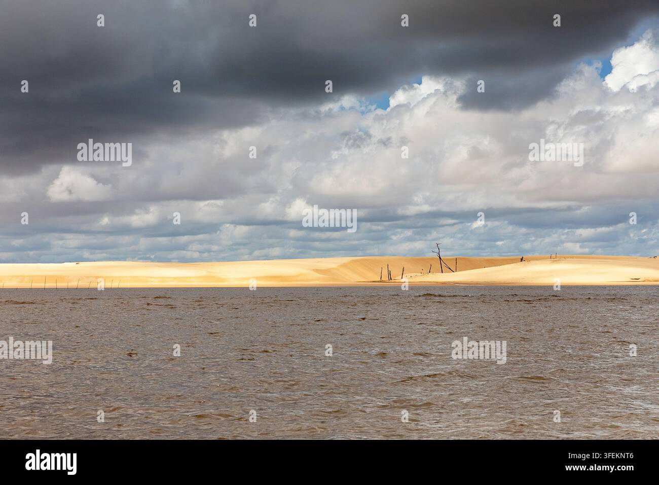 Unheimliche sonnenverblichene tote Baumstämme, die zwischen weiten weißen Sanddünen entlang der Ufer des friedlichen Preguicas-Flusses in Maranhao, Brasilien, stehen. Stockfoto