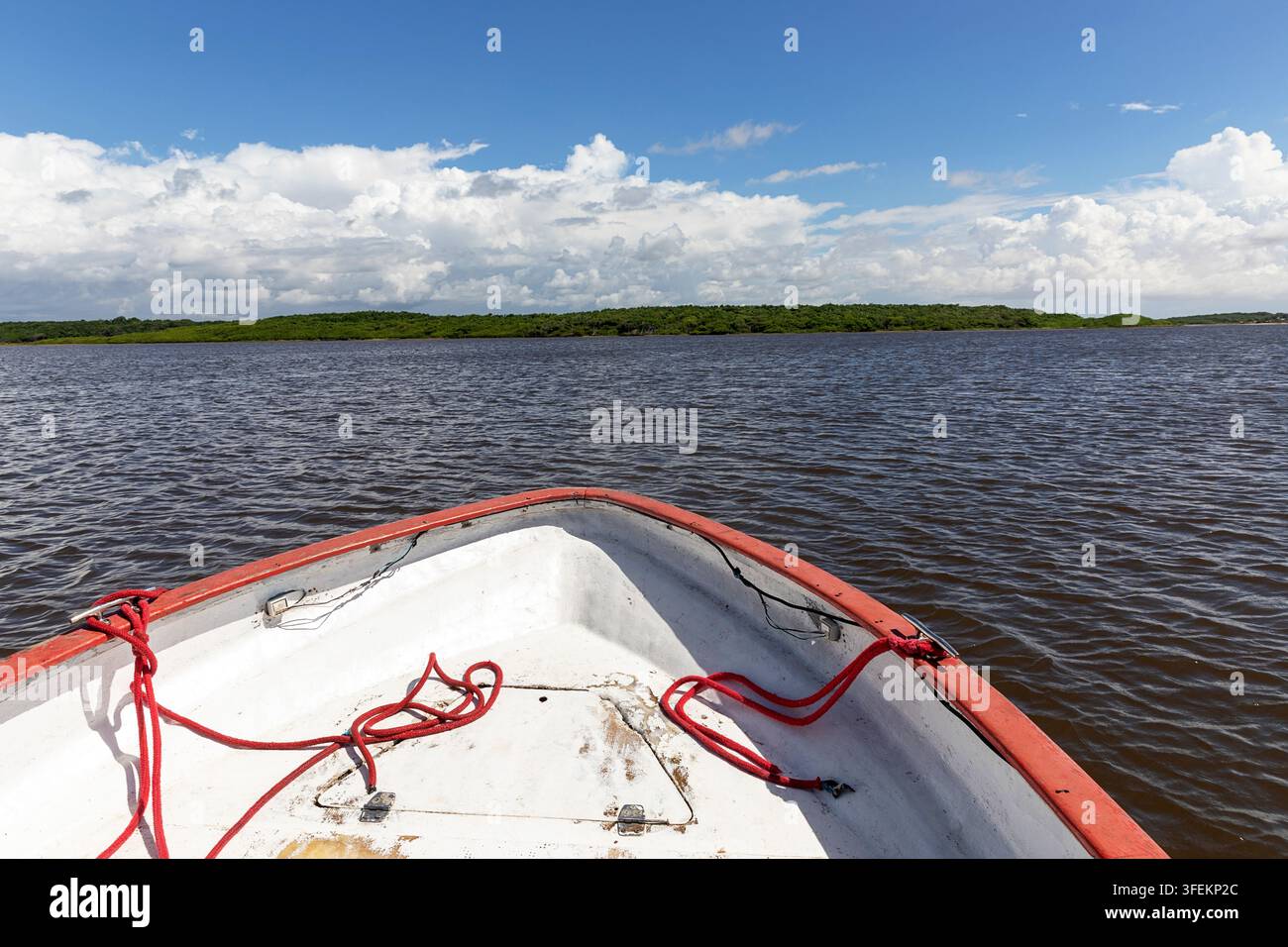 Der verwitterte Holzbug eines traditionellen Fischerboots schneidet durch die ruhigen Gewässer des Preguicas-Flusses, mit malerischen Flussbiegungen im Hintergrund. Stockfoto