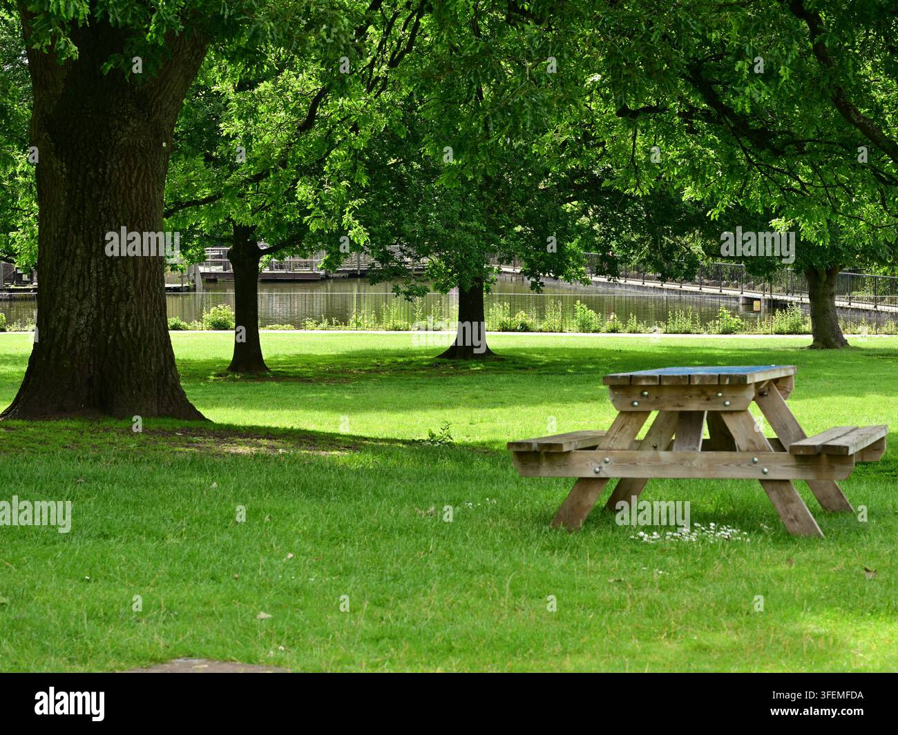 Schattiger Holz-Picknicktisch auf grünem Gras, große Bäume, Fluss und Brücke im Hintergrund Stockfoto