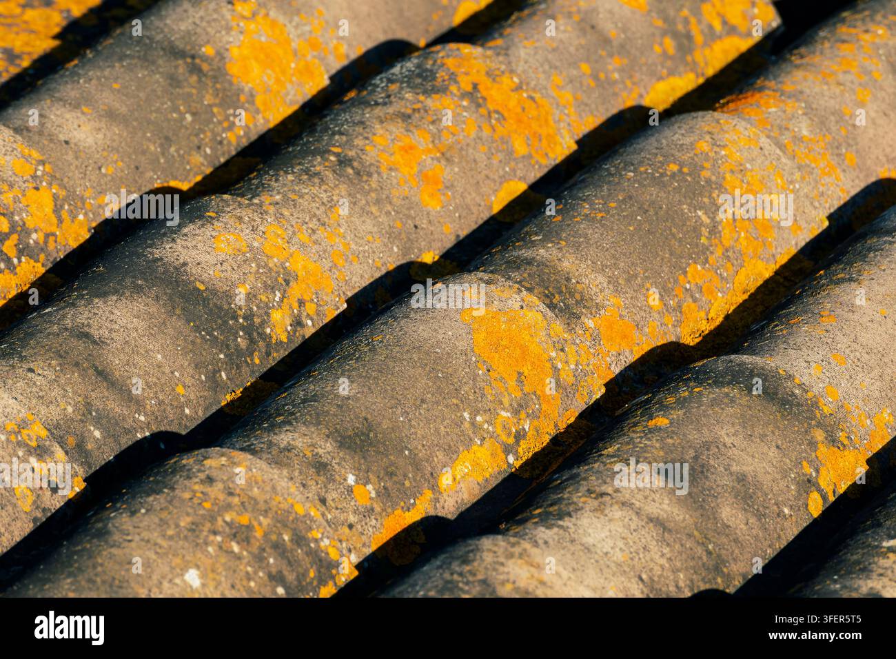 Ein Detail eines Ziegeldachs mit gelben Flecken von Flechten, die daran haften Stockfoto