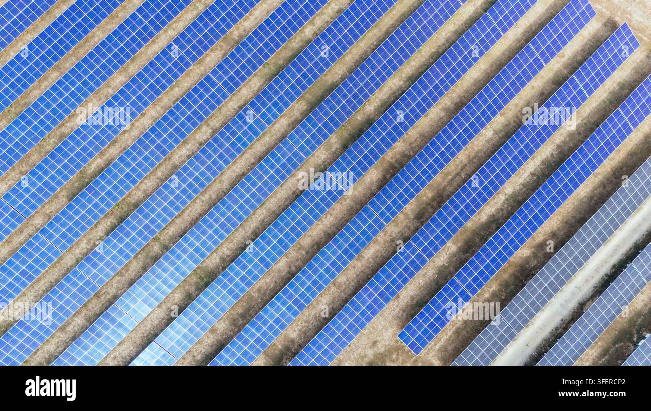 Luftbild einer großen Solarfarm mit Reihen von Photovoltaik-Panels, die auf dem Boden in Sabac, Vojvodina, Serbien installiert sind. Stockfoto