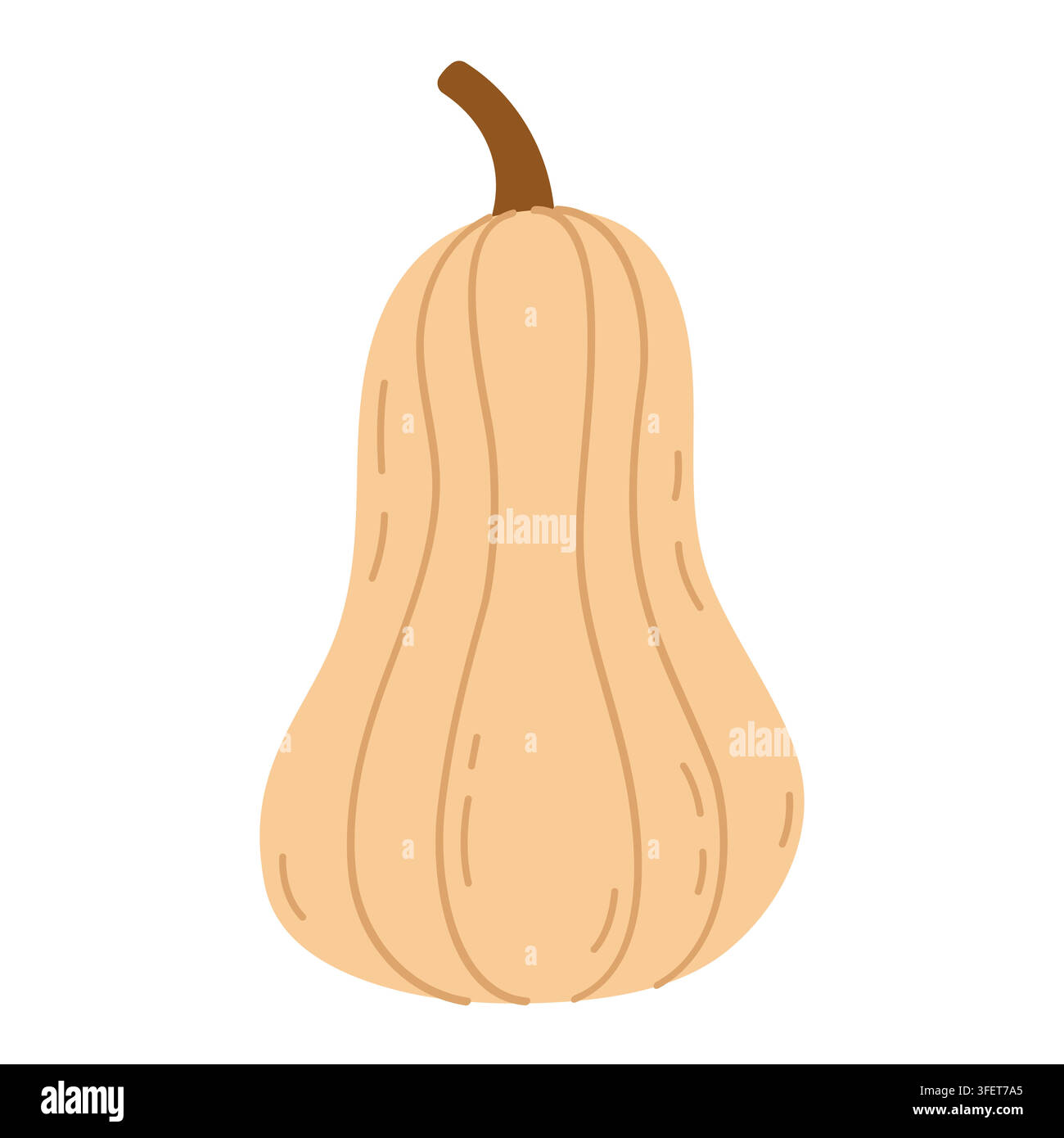 Einfache Hohe Beige Kürbis isoliert auf Weißem Hintergrund. Vektorillustration Stock Vektor