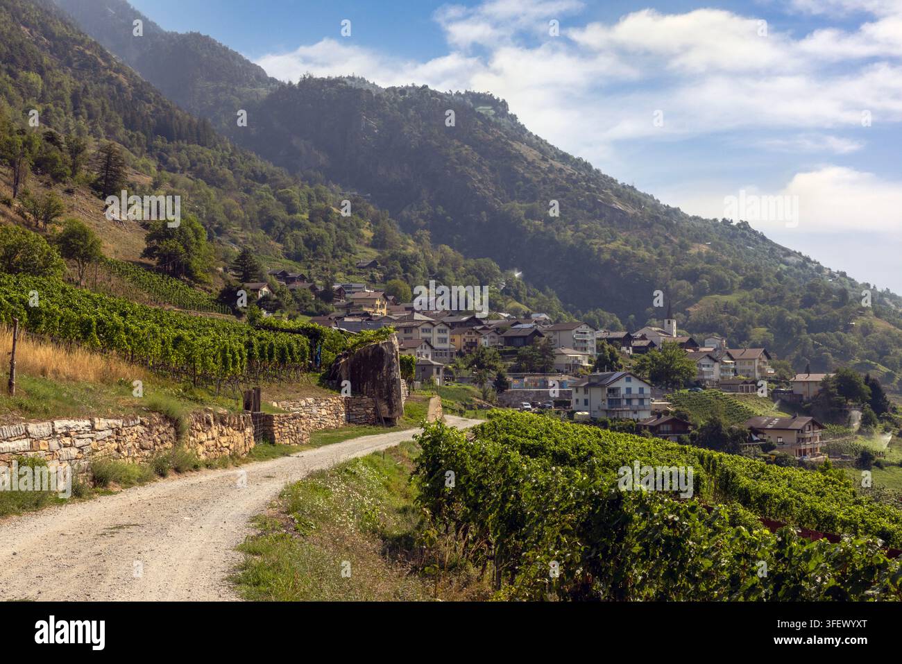 Eine malerische Wanderung durch die malerischen Weinberge entlang des Kulturweg Wallis im Kanton Wallis, Schweiz. Stockfoto