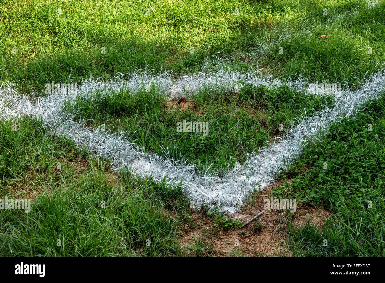 Ein gemalter weißer Linienkreuzung oder Eckmarker auf einem Rasenfußballfeld. Stockfoto