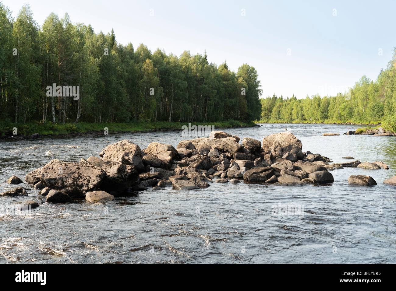 Wasser fließt an Felsen in Vikaköngäs, Arctic Circle Hiking Area, Lappland, Finnland, und zeigt die unberührte nördliche Wildnis. Stockfoto