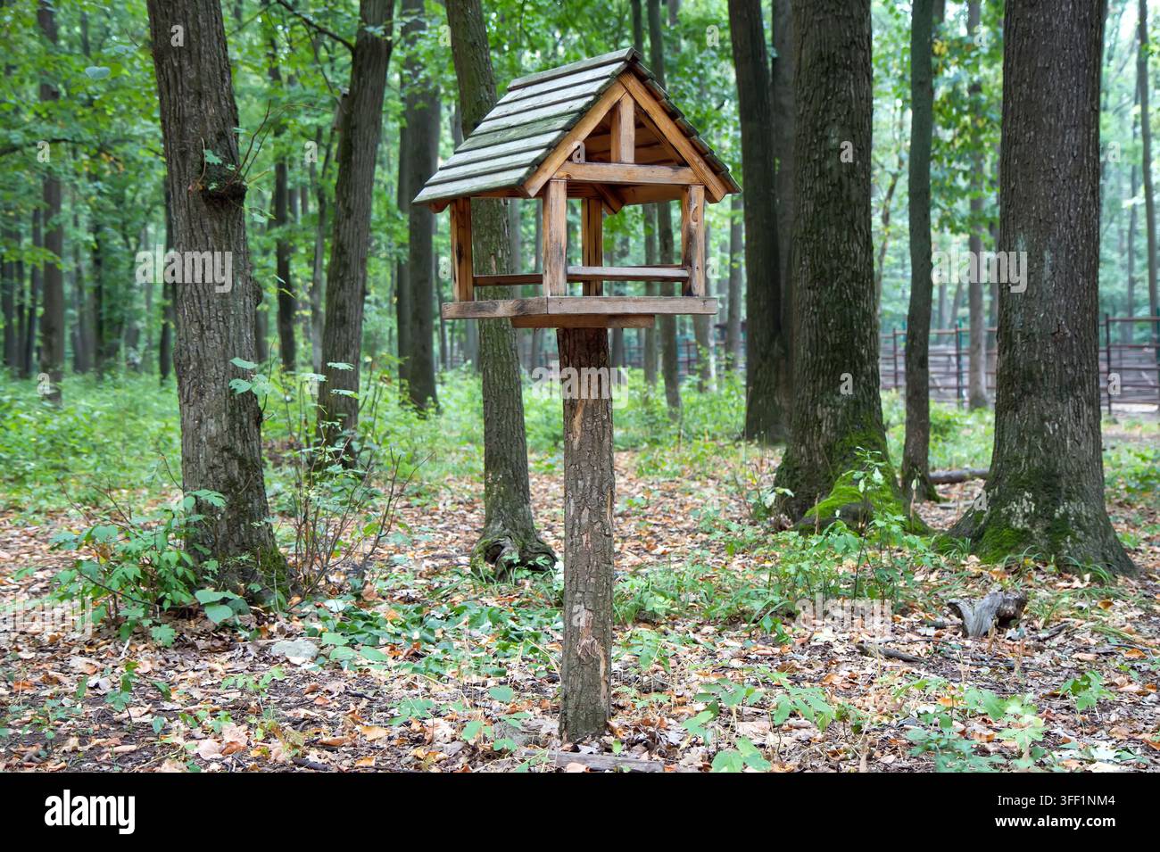 Futterstation für Eichhörnchen im Park. Holzfutterstation für Tiere vor dem Hintergrund von Bäumen. Stockfoto