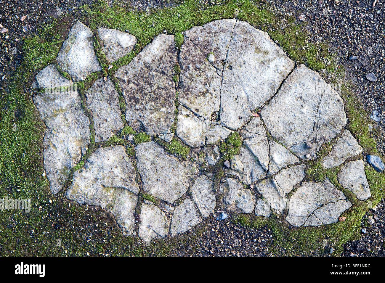 Moosige rissige Steinoberfläche. Alter Beton auf dem Boden. Stockfoto