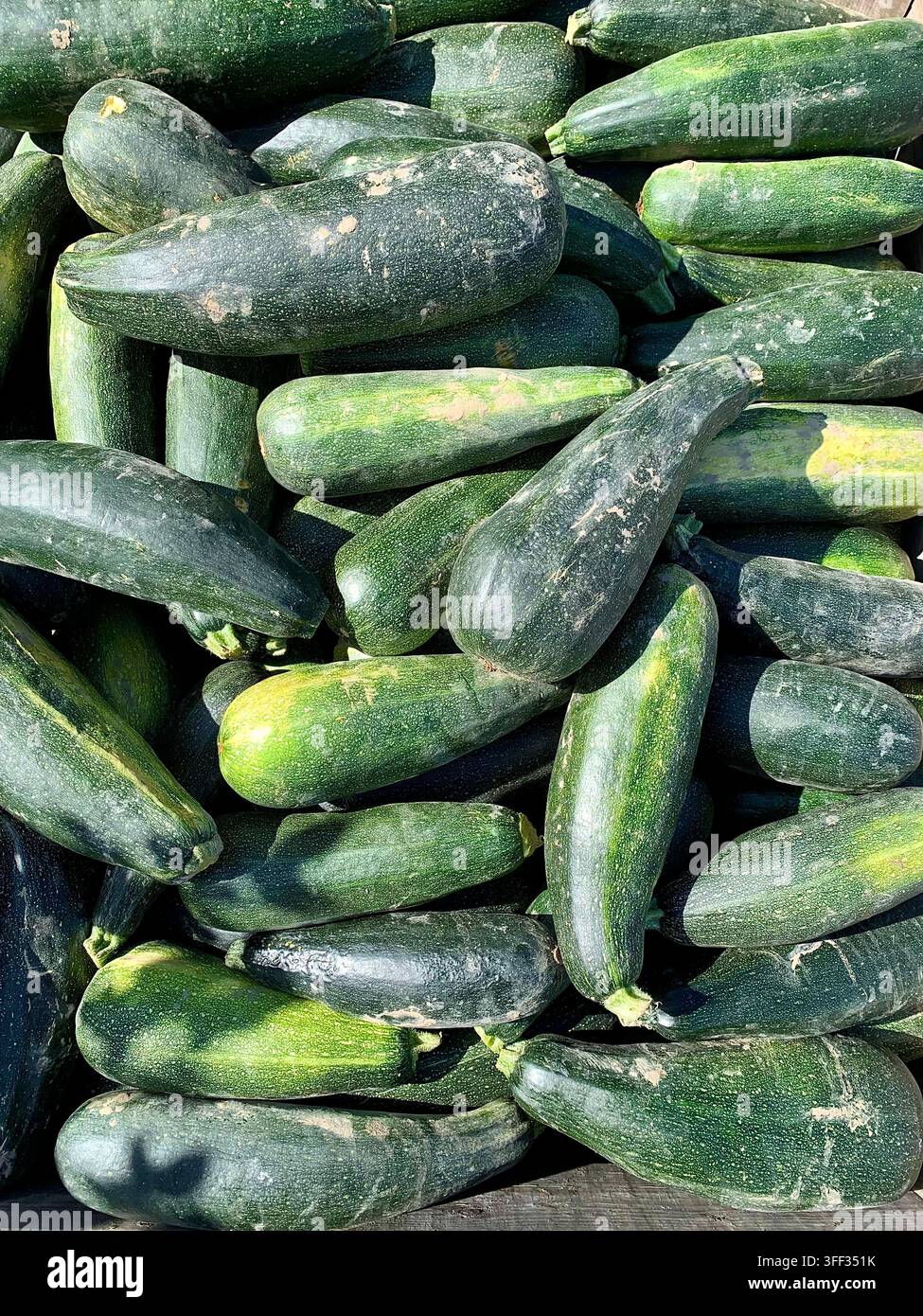 Grüne Zucchini auf dem Markt - Smartphone-aufgenommenes Stockfoto