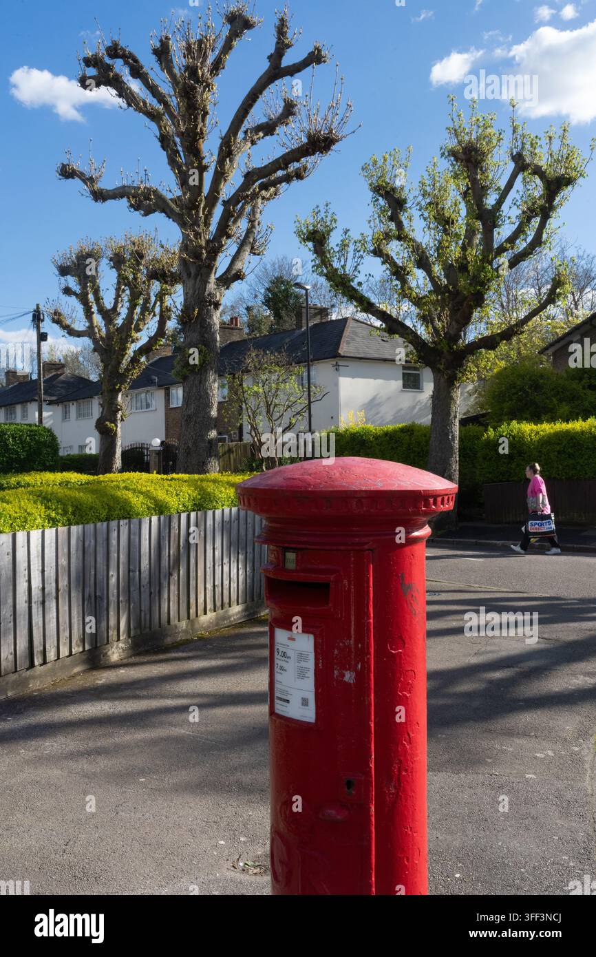 Ein Fußgänger geht an einer roten Royal Mail-Säule auf einer Londoner Wohnstraße vorbei, um die tägliche Post abzuholen. Stockfoto