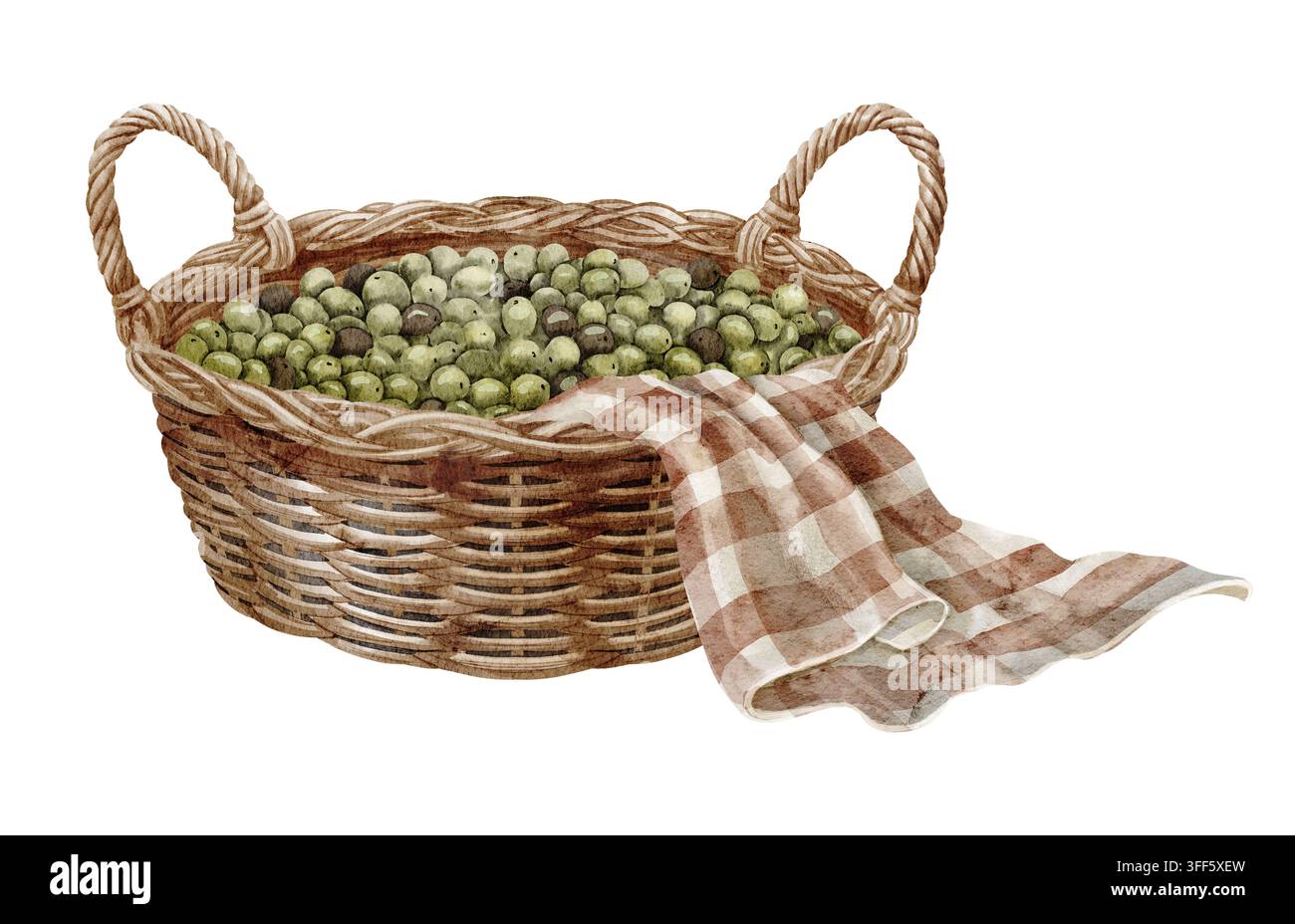Korb mit grünen Oliven und drapiertem Tuch, Aquarellillustration isoliert auf Hintergrund. Mediterraner Erntekomposition mit geflochtenem Weidenkorb Stockfoto