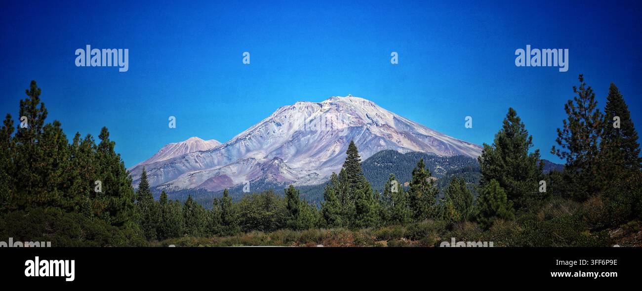 Mächtiger schneebedeckter Mount-Shasta-Gipfel, eingerahmt von Kiefernwald unter klarem blauem Himmel Stockfoto