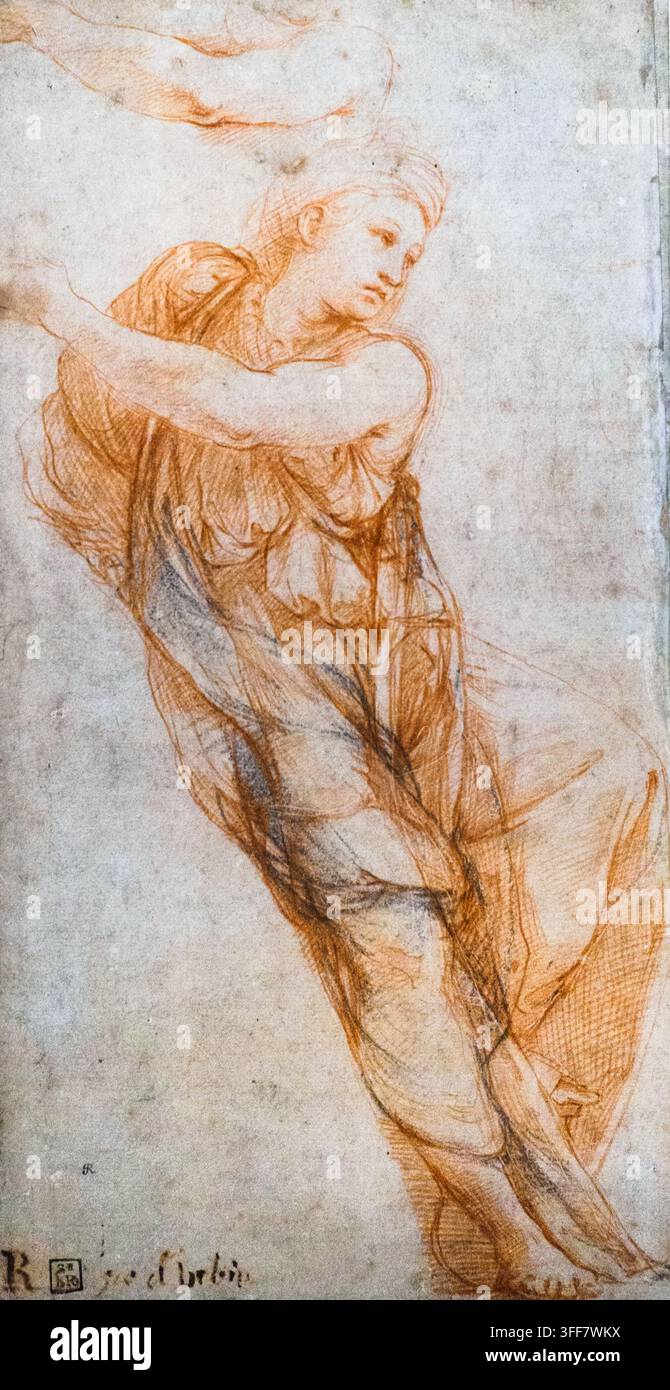 Studie für eine Sibylle um 1511 von Raffaello Sanzio, bekannt als Raffaello (1483-1520) Rötel über Stichel mit letzten retuschierten Strichen in Schwarzkreide Stockfoto