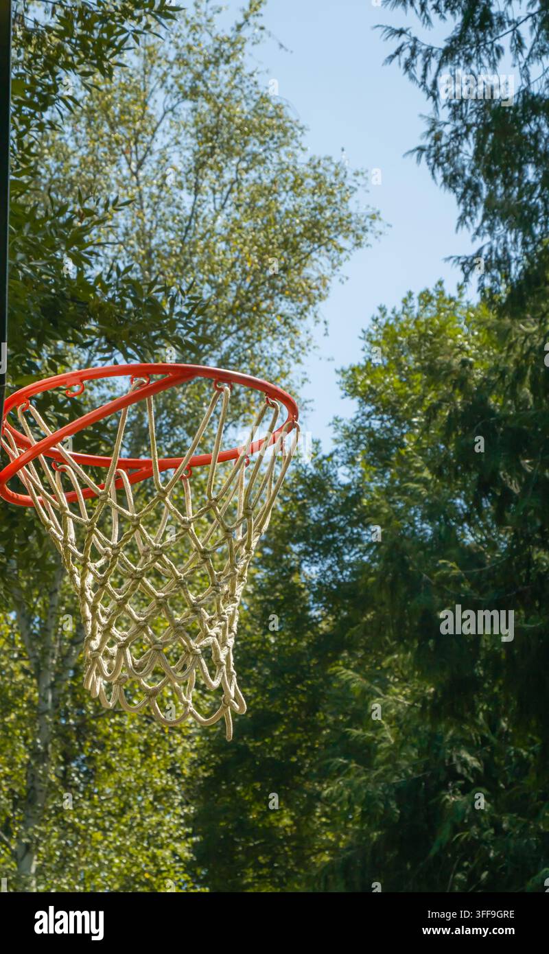 Nahaufnahme eines Outdoor-Basketballkorbs mit Seilnetz, eingerahmt von Laubbäumen und blauem Himmel, zeigt eine einfache öffentliche Park-Sportanlage bei hellem Tageslicht Stockfoto
