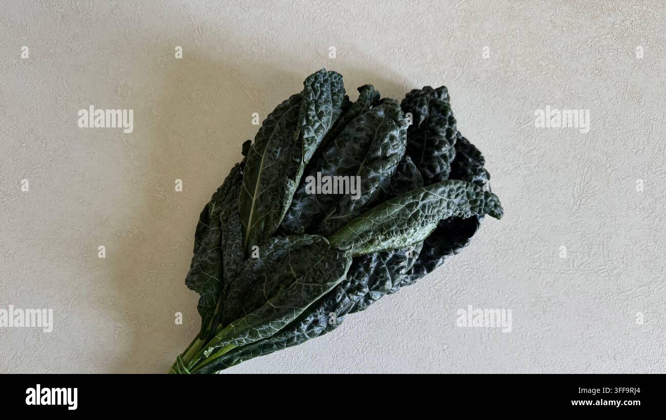 Frische grüne Kohlblätter, die als Bündel auf einer sauberen weißen Oberfläche angeordnet sind, mit großzügigem Kopierraum für gesunde Lebensmittel und Ernährungsbegriffe. Stockfoto