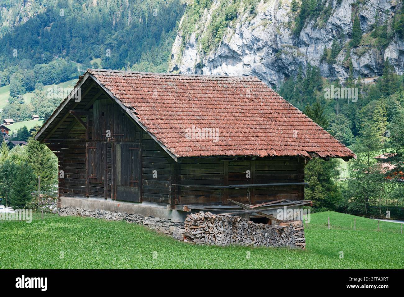Alte verwitterte Holzbarn steht in einem lebendigen grünen Feld vor felsigen Bergklippen in Lauterbrunnen, Schweiz Stockfoto