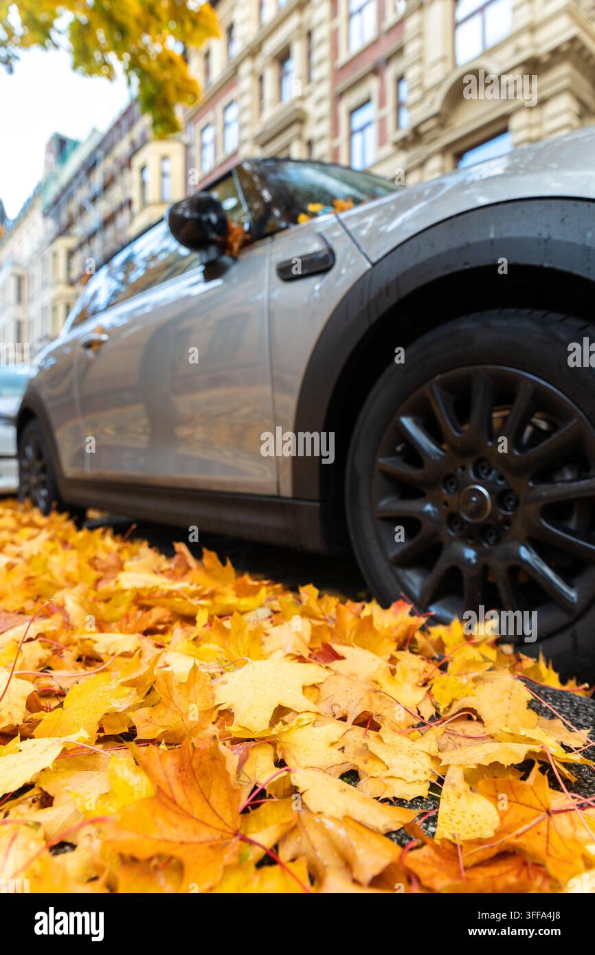 Moody, malerischer Blick auf die Frontscheinwerfer modernes graues Auto Windschutzscheibe bedeckt goldene gelbe gefallene Blätter geparkt nasse Stadt Straße Herbst regnerischer Tag. Bewölkt Stockfoto