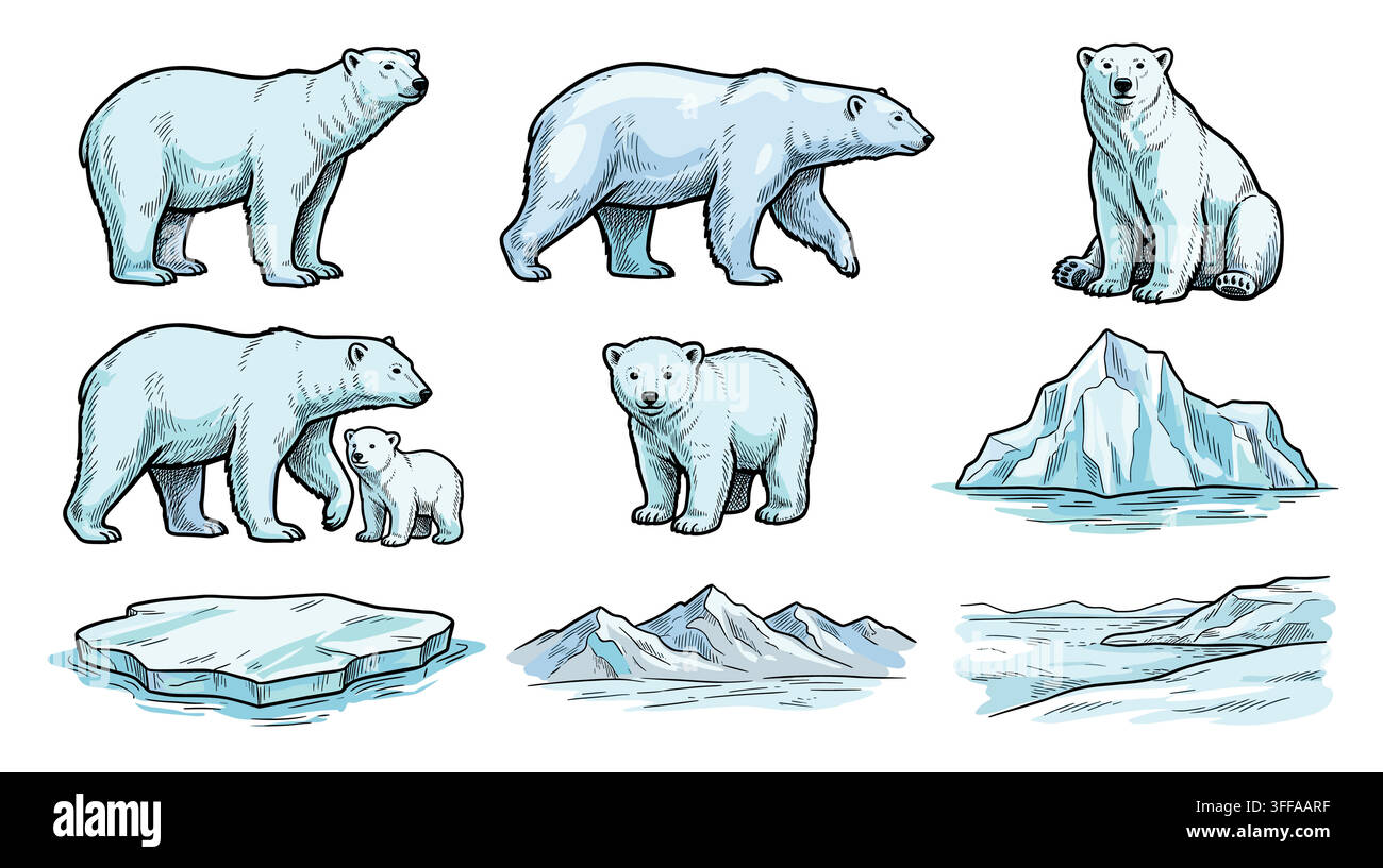 Eine Sammlung von Eisbären-Illustrationen mit Eisbergen und arktischen Landschaftselementen. . Stock Vektor