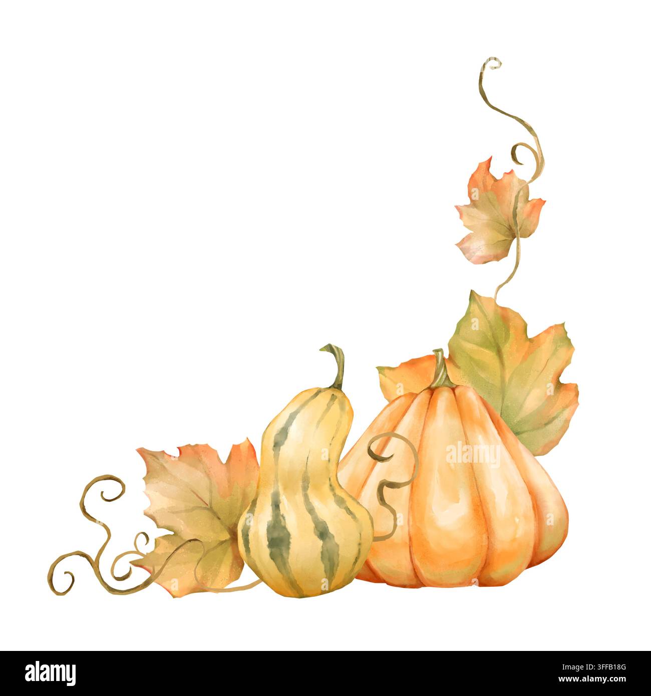Handgezeichnete Illustration eines eleganten Eckrahmens mit Kürbissen und Blättern Stockfoto